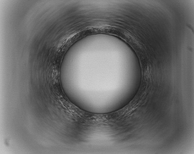 X0000100410822200806201757