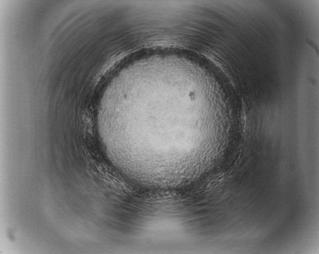 X0000100410823200806201757