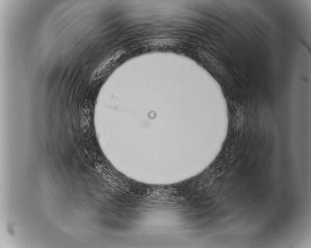 X0000100410824200806201757