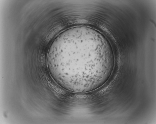 X0000100410825200806201757