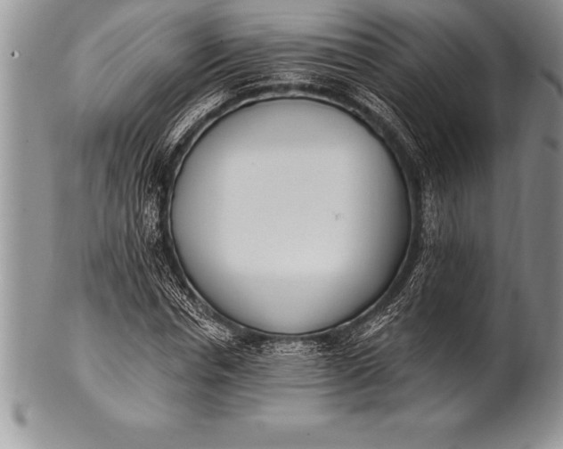 X0000100410826200806201757