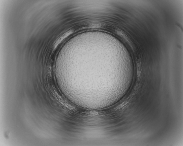 X0000100410827200806201757