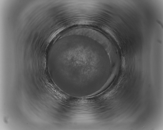 X0000100410829200806201757