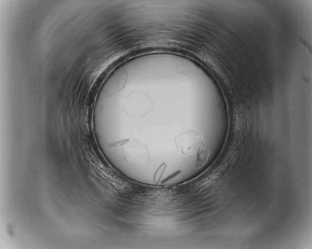 X0000100410830200806201757