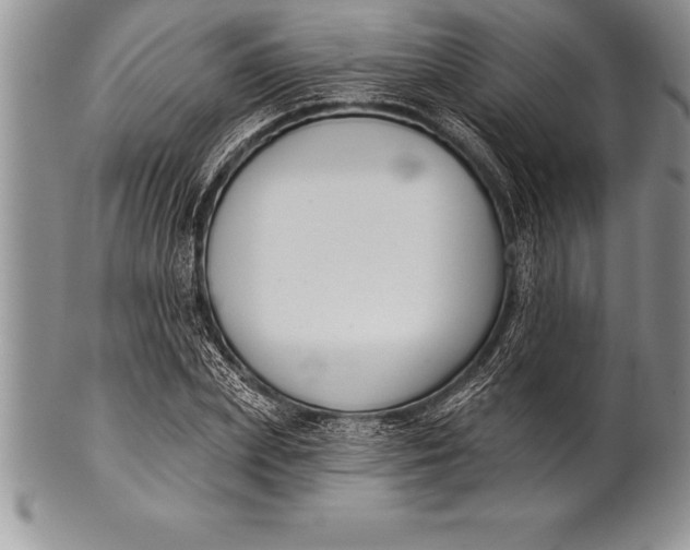 X0000100410831200806201757