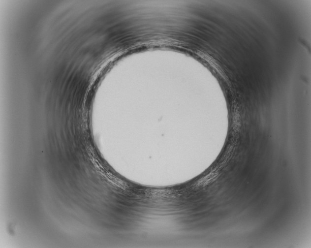 X0000100410832200806201757