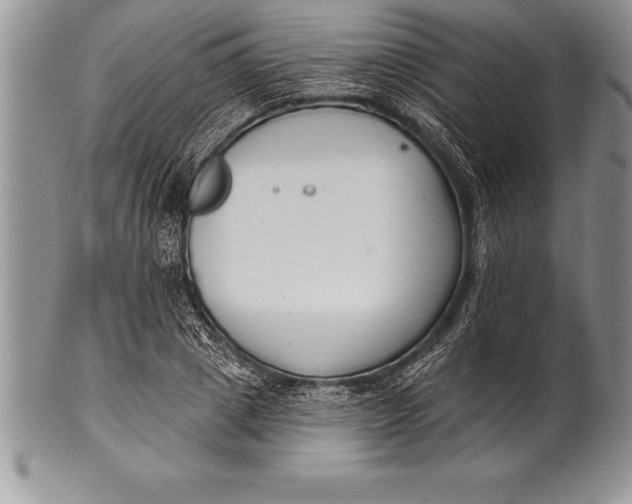 X0000100410833200806201757