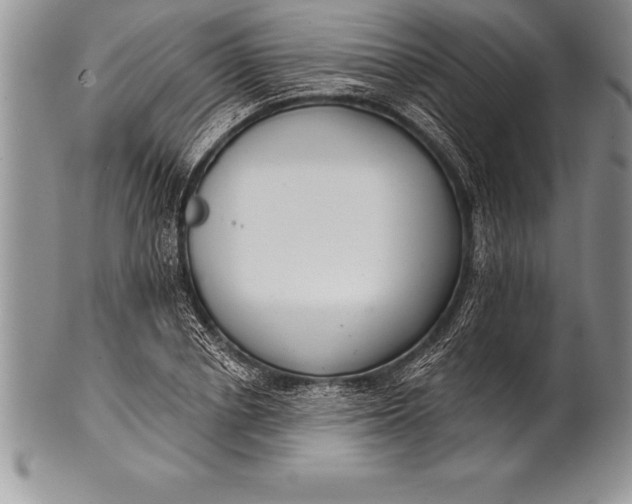 X0000100410834200806201757