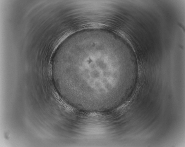 X0000100410835200806201757