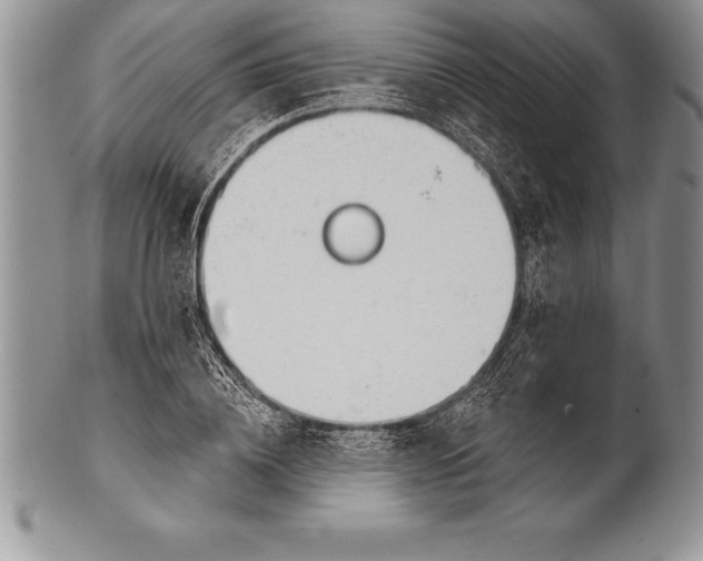 X0000100410836200806201757