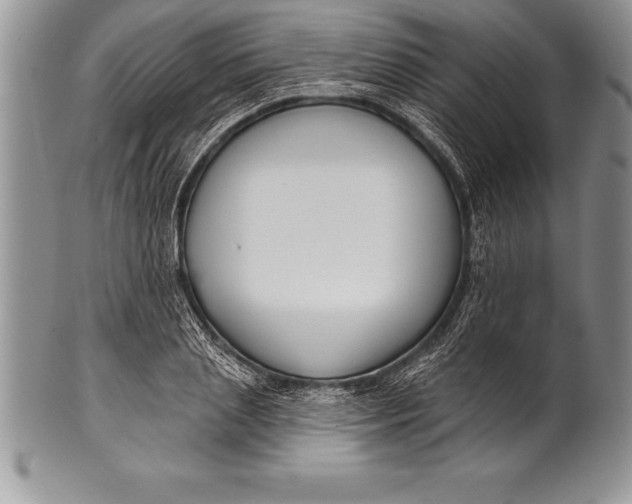 X0000100410837200806201757