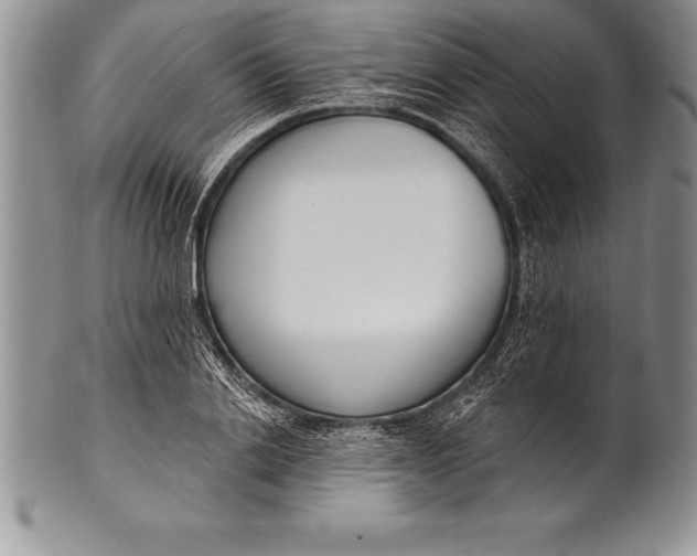 X0000100410838200806201757