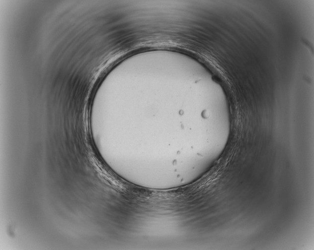 X0000100410840200806201757