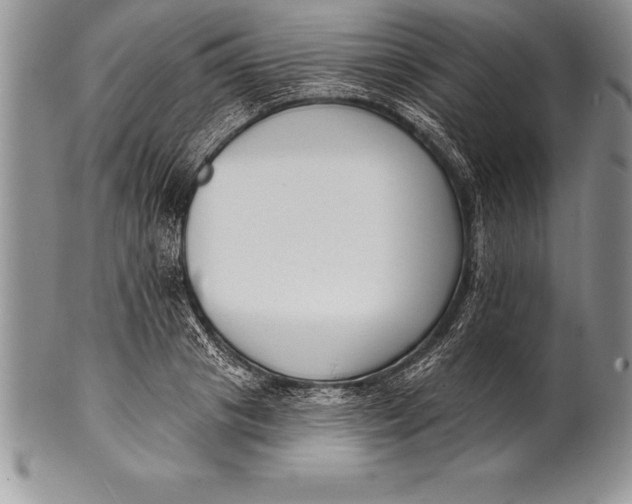 X0000100410841200806201757