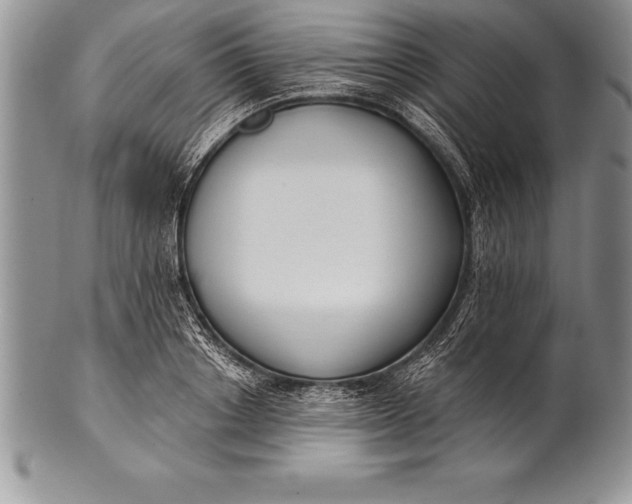 X0000100410842200806201757