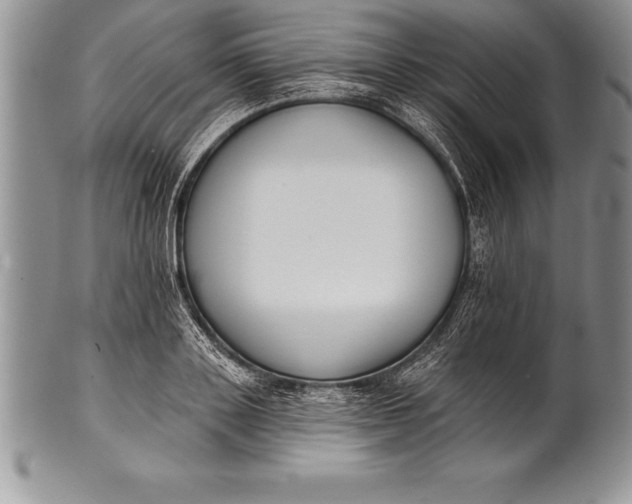 X0000100410843200806201757