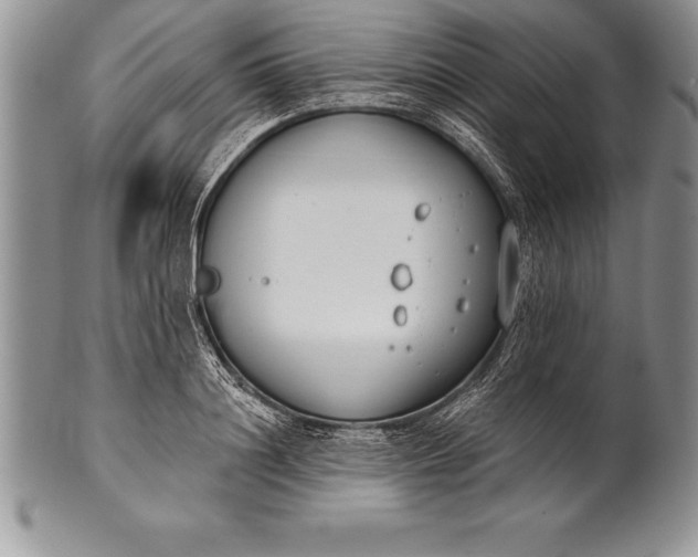 X0000100410844200806201757