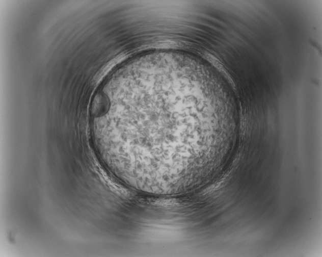 X0000100410845200806201757