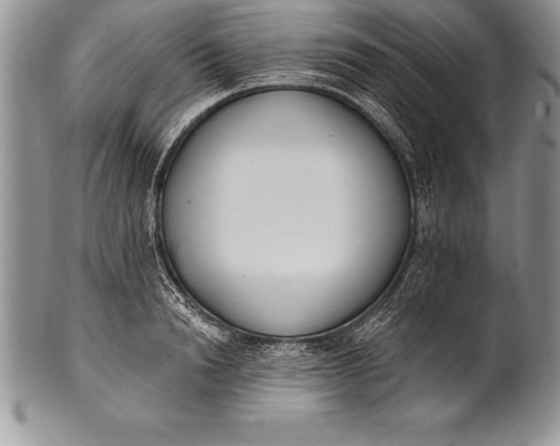 X0000100410846200806201757