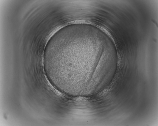 X0000100410847200806201757