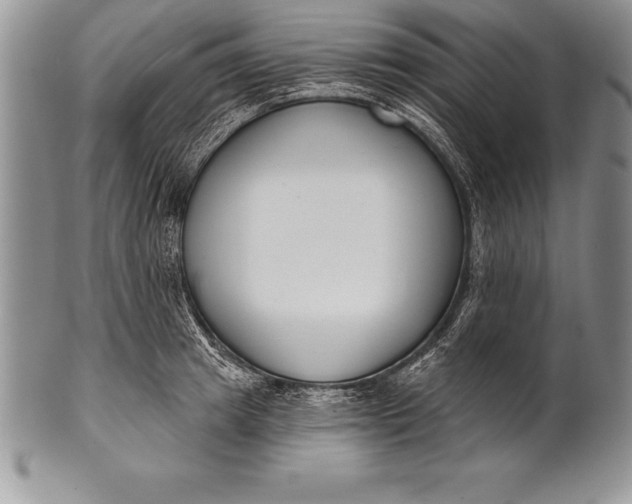 X0000100410849200806201757