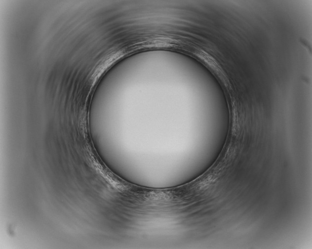 X0000100410850200806201757