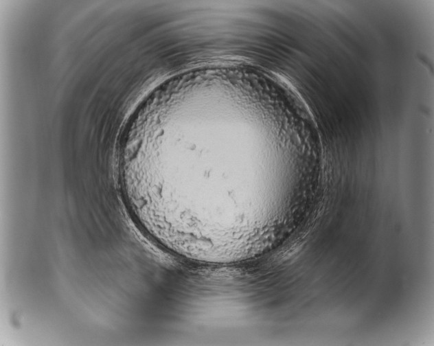 X0000100410851200806201757