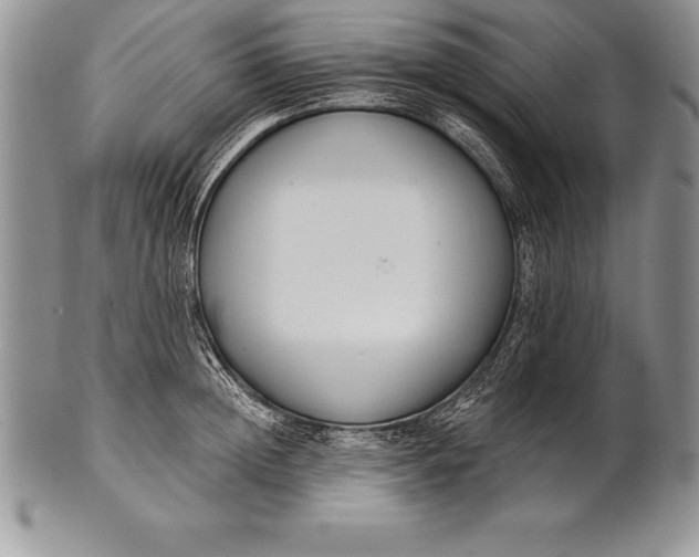 X0000100410852200806201757