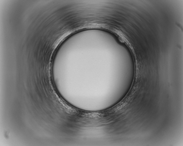 X0000100410853200806201757