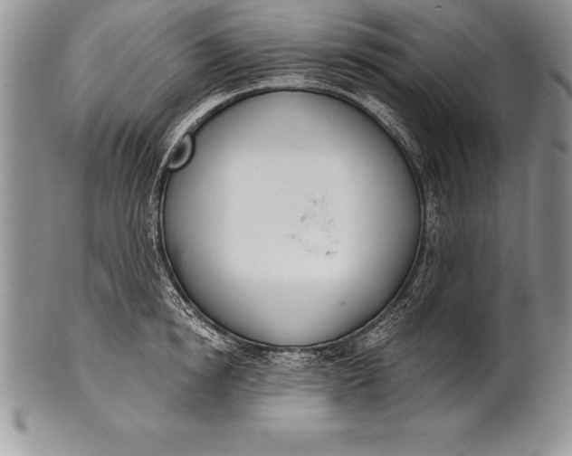 X0000100410854200806201757