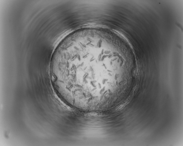 X0000100410855200806201757