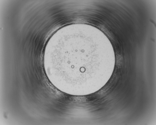 X0000100410856200806201757