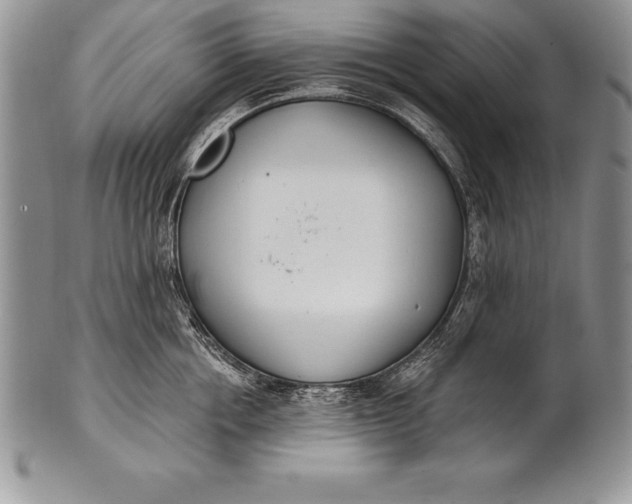 X0000100410858200806201757