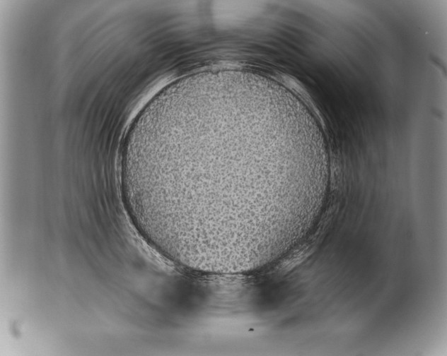 X0000100410859200806201757