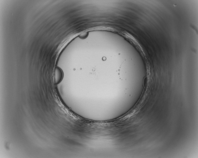 X0000100410860200806201757