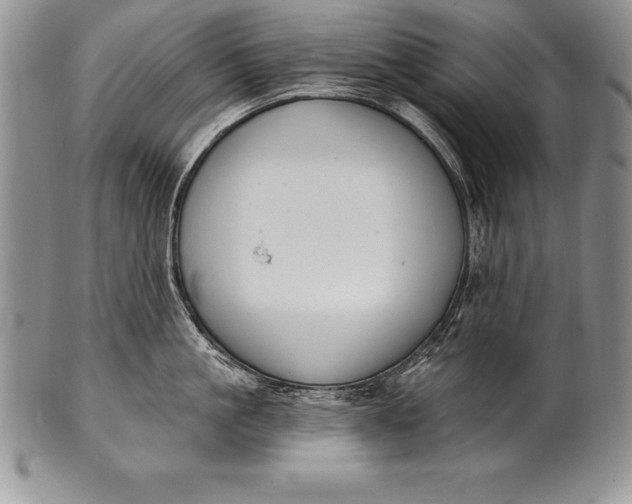 X0000100410861200806201758