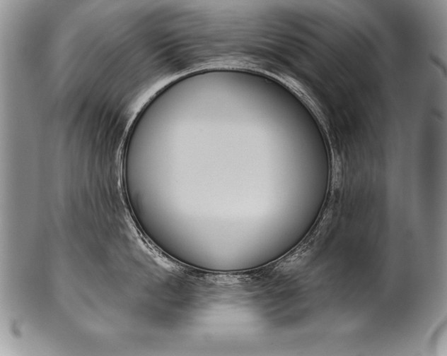 X0000100410862200806201758