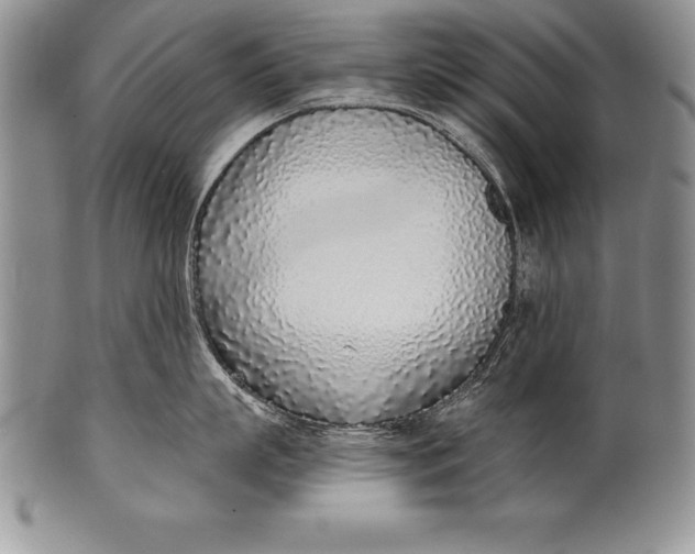 X0000100410863200806201758