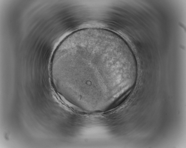 X0000100410864200806201758