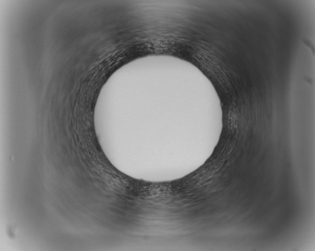 X0000100410865200806201757