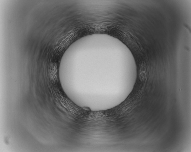 X0000100410866200806201757