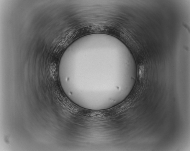 X0000100410867200806201757