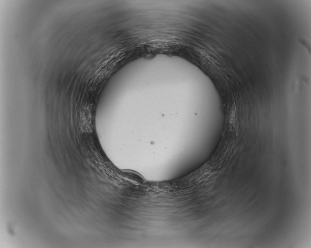 X0000100410868200806201757