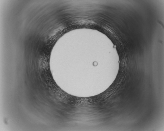 X0000100410869200806201757