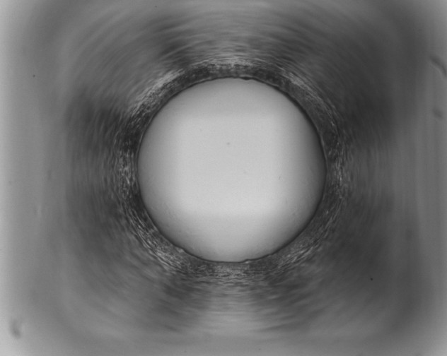 X0000100410870200806201757