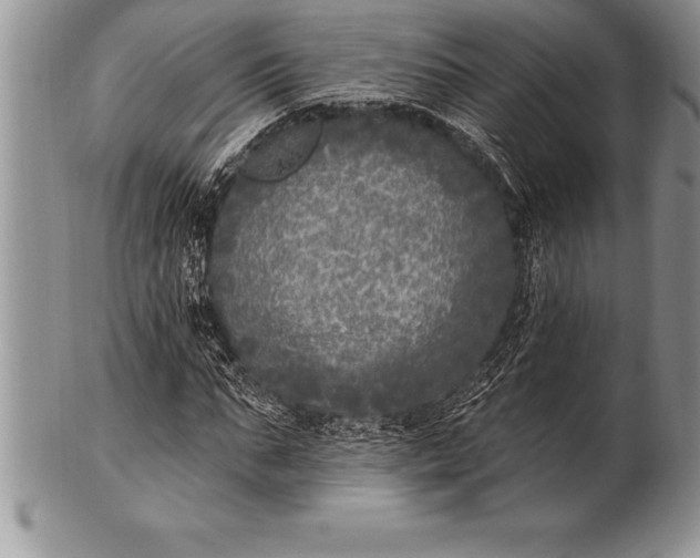 X0000100410871200806201757