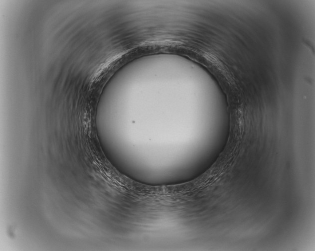 X0000100410872200806201757