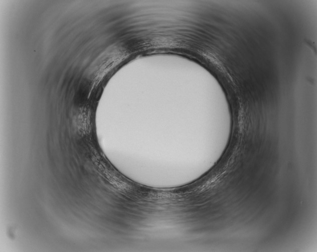 X0000100410873200806201757