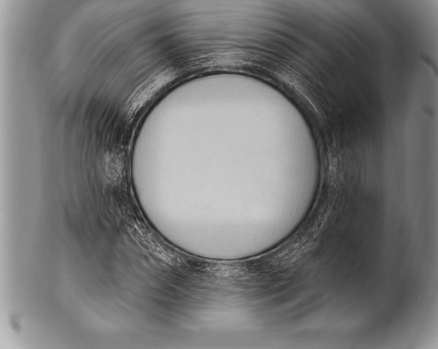 X0000100410874200806201757