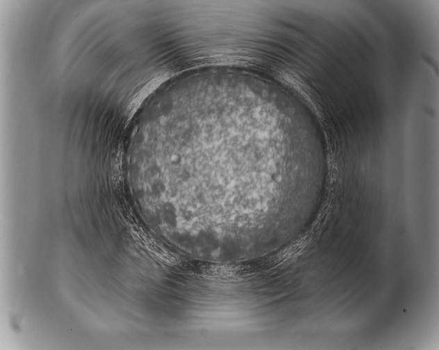 X0000100410875200806201757